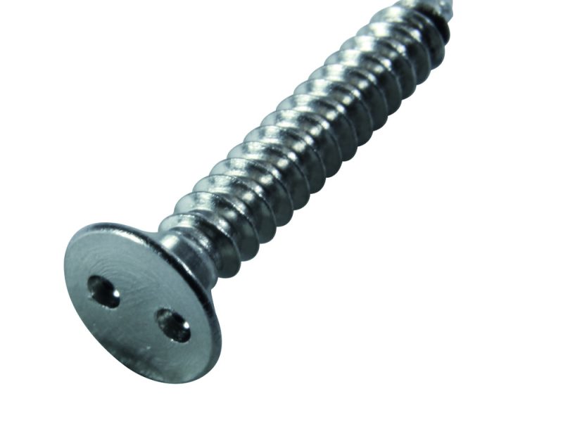 Safety Screws w Two-Hole Drive