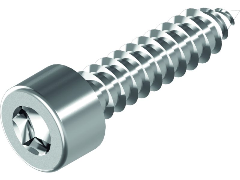 Tapping Screws with Hex Socket Cylinder Head