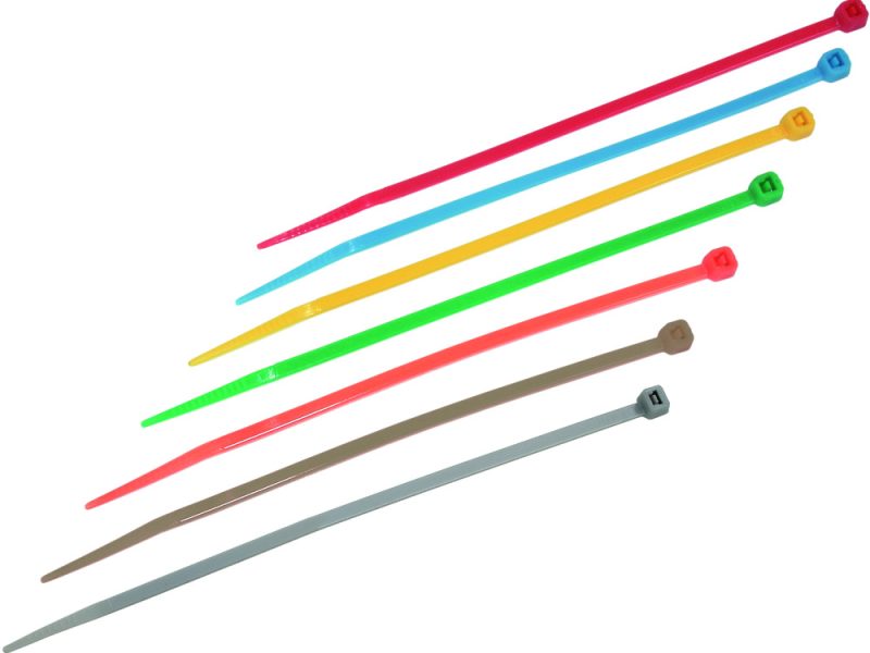 Cable Ties with Plastic Tongue